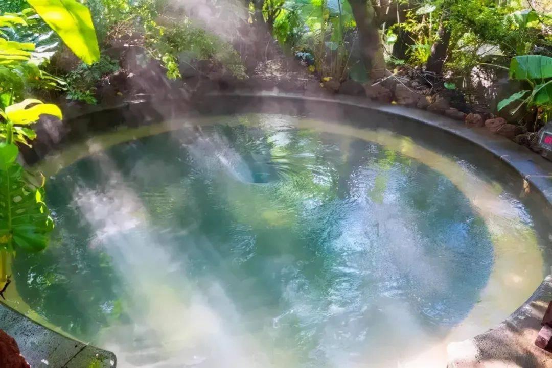 南宁青秀山向日葵花田成网红打卡点，南宁网红打卡地还有哪里？游戏画面